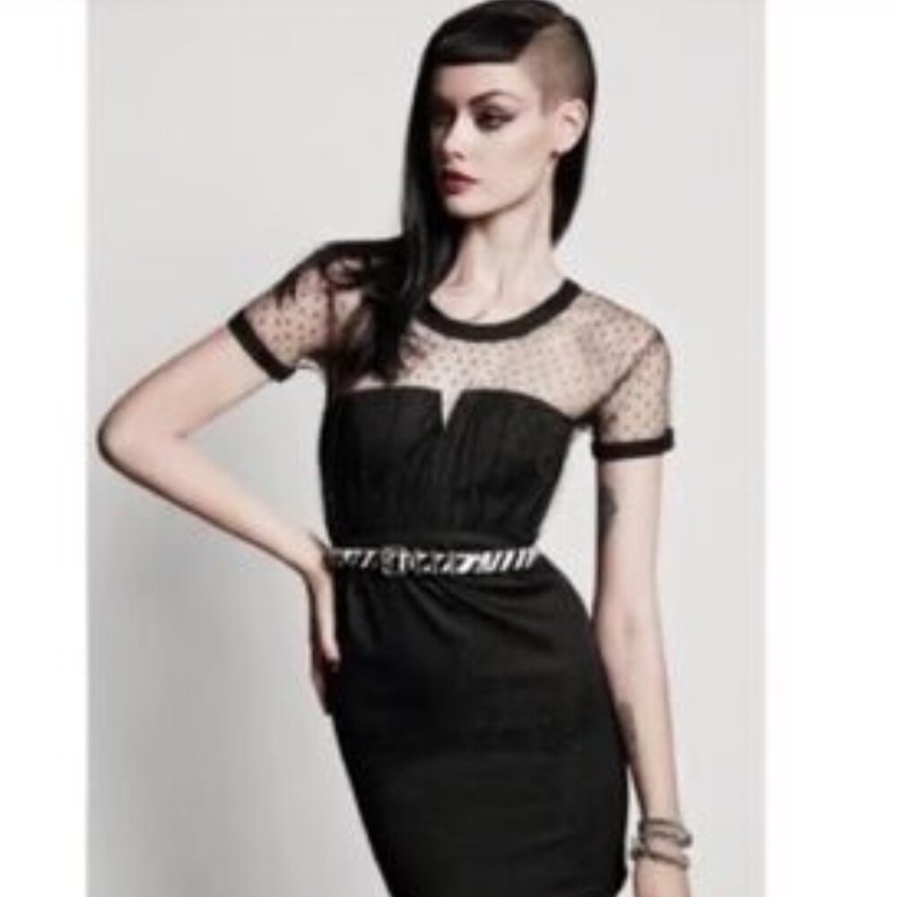 Molly Black Polka Dot Mesh Mini Dress